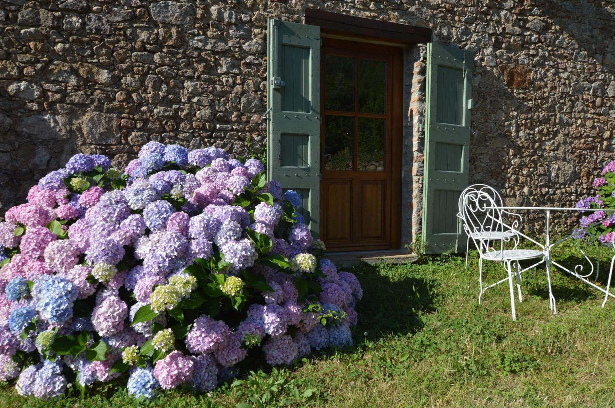 Mas Des Druilles Bed and Breakfast Generargues Exteriör bild