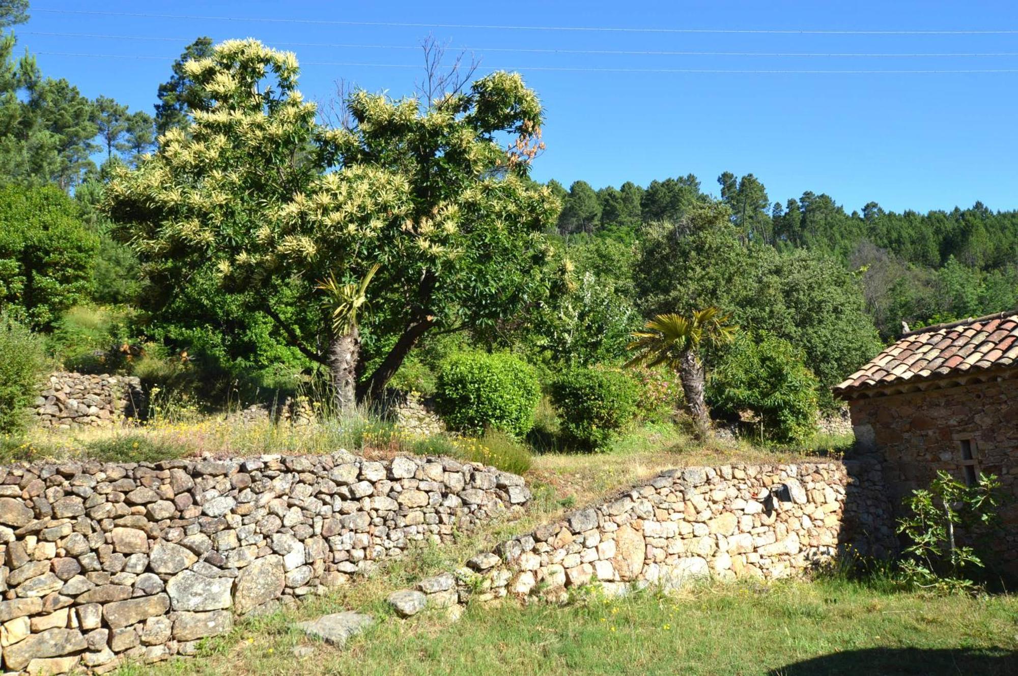 Mas Des Druilles Bed and Breakfast Generargues Exteriör bild